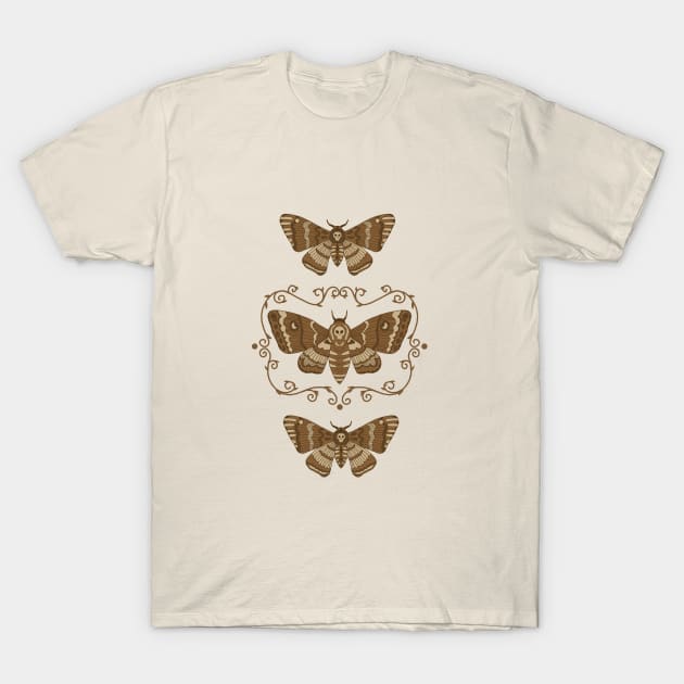 Death's Head Moth Taxidermy T-Shirt by latheandquill